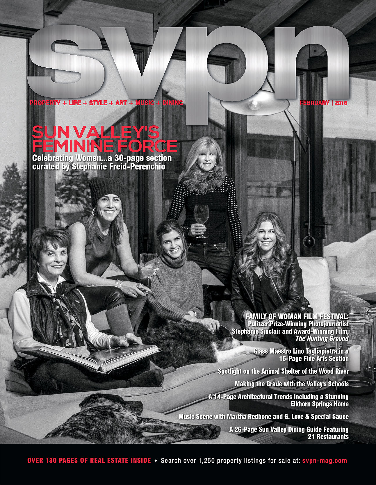 SVPN February 2016