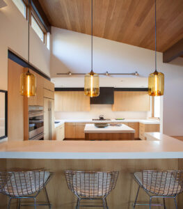 elkhorn kitchen bar light fixtures