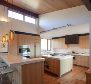 elkhorn kitchen wood paneling simplistic